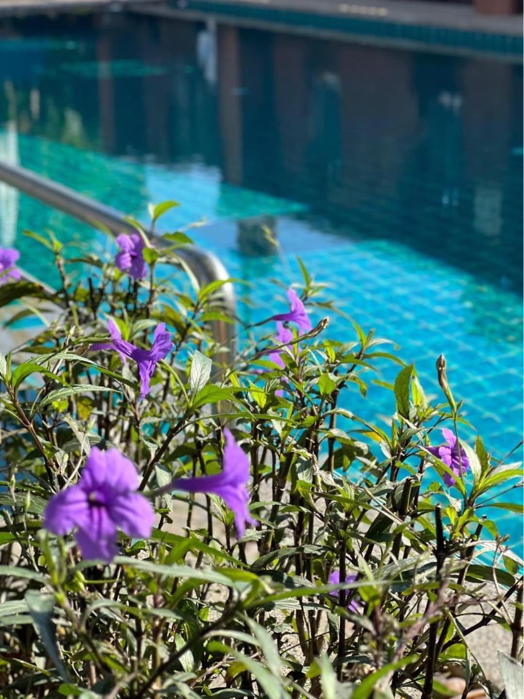Pattara Mansion พัทยา Hotel Pattaya Bagian luar foto